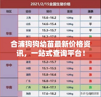 合浦狗狗幼苗最新价格资讯，一站式查询平台！