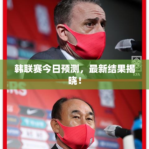 韩联赛今日预测，最新结果揭晓！