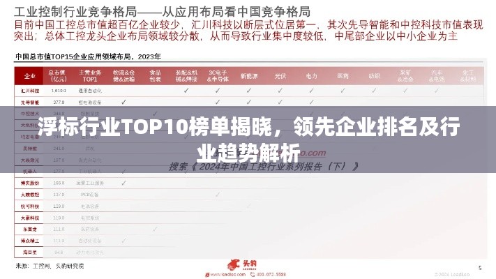 浮标行业TOP10榜单揭晓，领先企业排名及行业趋势解析