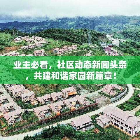业主必看，社区动态新闻头条，共建和谐家园新篇章！