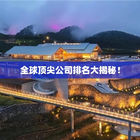 全球顶尖公司排名大揭秘！