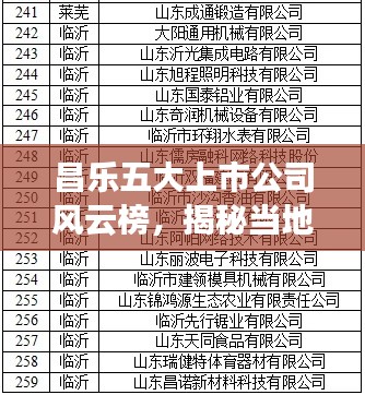 昌乐五大上市公司风云榜，揭秘当地龙头企业榜单！