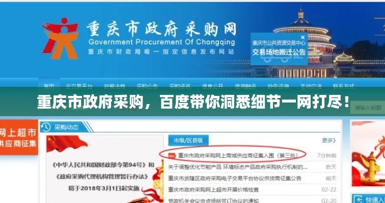 重庆市政府采购，百度带你洞悉细节一网打尽！