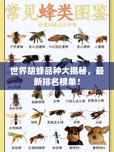 世界胡蜂品种大揭秘，最新排名榜单！