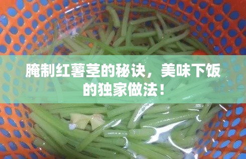 腌制红薯茎的秘诀，美味下饭的独家做法！