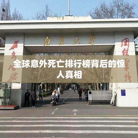 全球意外死亡排行榜背后的惊人真相