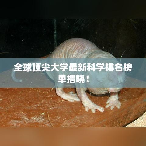 全球顶尖大学最新科学排名榜单揭晓！