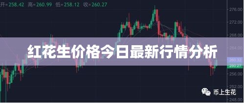 红花生价格今日最新行情分析