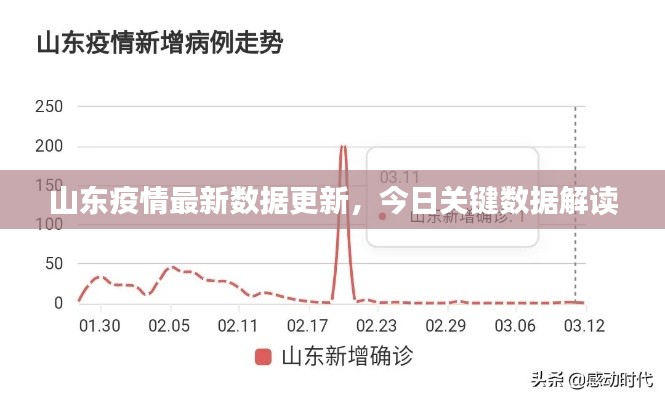 山东疫情最新数据更新，今日关键数据解读