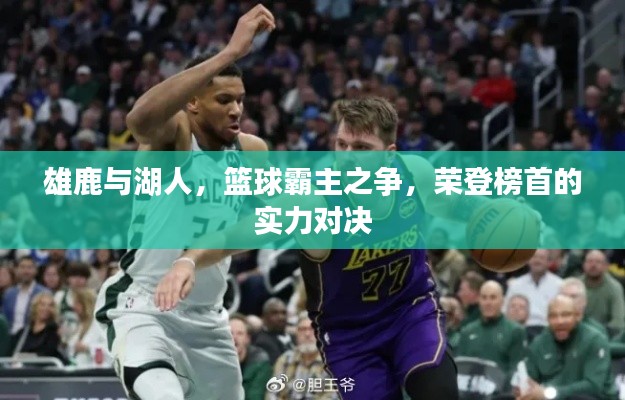 雄鹿与湖人，篮球霸主之争，荣登榜首的实力对决