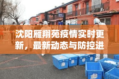 沈阳雁翔苑疫情实时更新，最新动态与防控进展