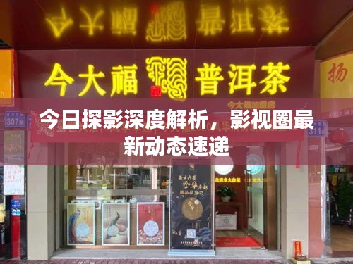 今日探影深度解析，影视圈最新动态速递