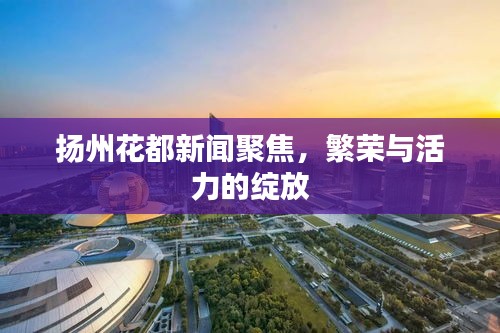 扬州花都新闻聚焦，繁荣与活力的绽放