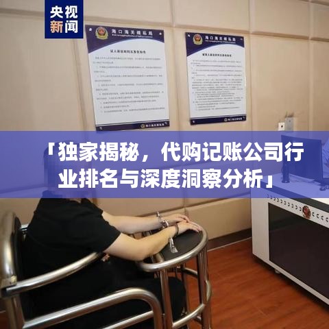 「独家揭秘，代购记账公司行业排名与深度洞察分析」
