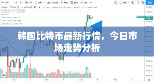 2025年6月29日