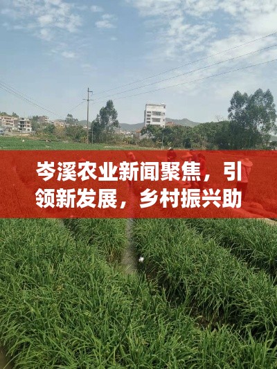 岑溪农业新闻聚焦，引领新发展，乡村振兴助力行动