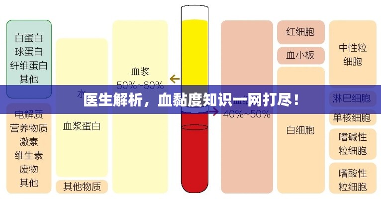 医生解析，血黏度知识一网打尽！