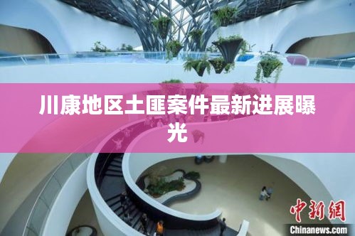川康地区土匪案件最新进展曝光