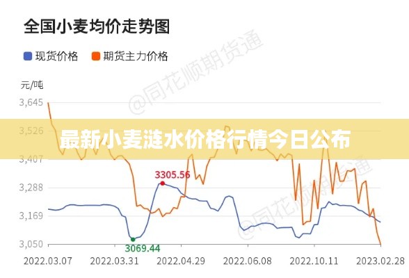 最新小麦涟水价格行情今日公布