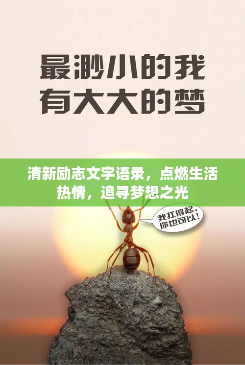 清新励志文字语录，点燃生活热情，追寻梦想之光