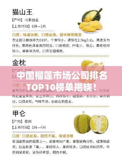 中国榴莲市场公司排名TOP10榜单揭晓！