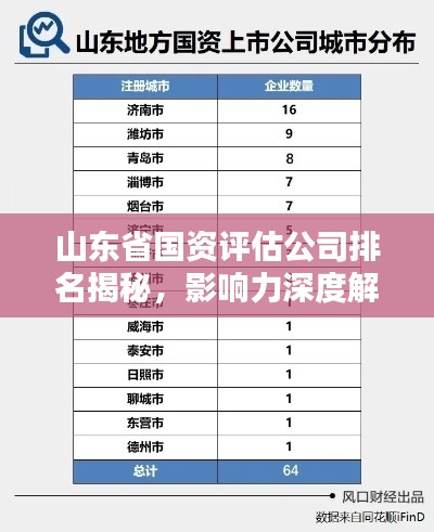山东省国资评估公司排名揭秘，影响力深度解析