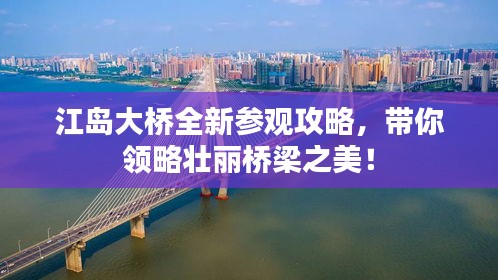 江岛大桥全新参观攻略，带你领略壮丽桥梁之美！