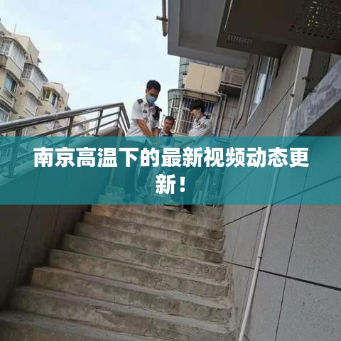 南京高温下的最新视频动态更新!