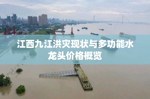 江西九江洪灾现状与多功能水龙头价格概览