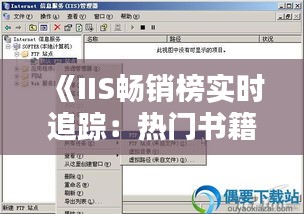 《IIS畅销榜实时追踪：热门书籍一览无遗》