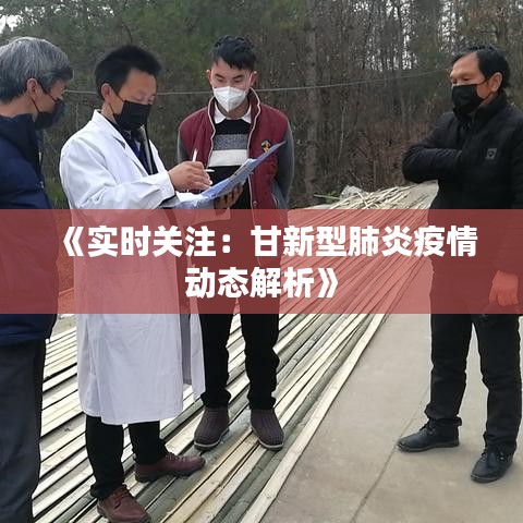 《实时关注：甘新型肺炎疫情动态解析》