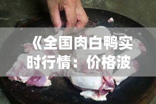 《全国肉白鸭实时行情：价格波动与市场动态解析》