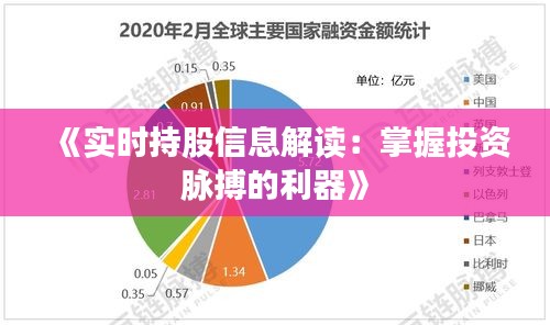 《实时持股信息解读：掌握投资脉搏的利器》