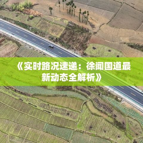 《实时路况速递：徐闻国道最新动态全解析》