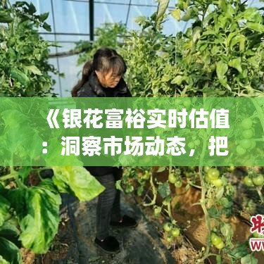 《银花富裕实时估值：洞察市场动态，把握财富机遇》