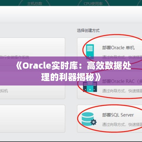 《Oracle实时库：高效数据处理的利器揭秘》