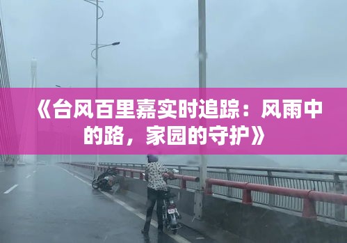 《台风百里嘉实时追踪：风雨中的路，家园的守护》