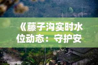 《藤子沟实时水位动态：守护安全，共筑家园》