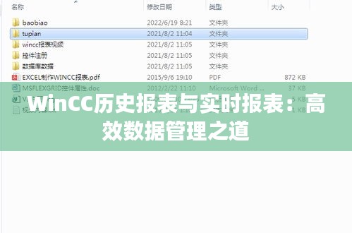 WinCC历史报表与实时报表：高效数据管理之道