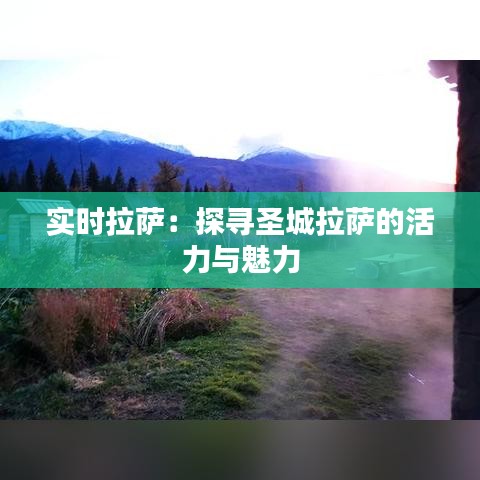 实时拉萨：探寻圣城拉萨的活力与魅力