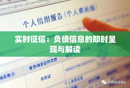 实时征信：负债信息的即时呈现与解读