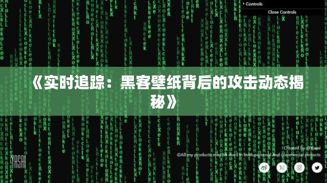 《实时追踪：黑客壁纸背后的攻击动态揭秘》