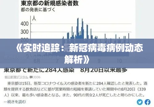 《实时追踪：新冠病毒病例动态解析》