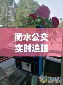 衡水公交实时追踪：便捷出行，智慧生活新体验