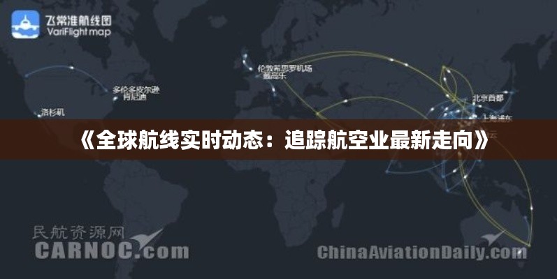 《全球航线实时动态：追踪航空业最新走向》