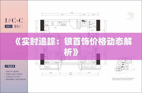 《实时追踪：银首饰价格动态解析》