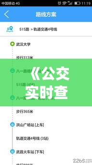 《公交实时查询官网：便捷出行，轻松掌握公交动态》