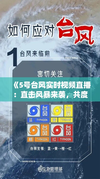 《5号台风实时视频直播：直击风暴来袭，共度风雨时刻》