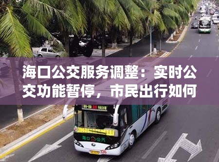 海口公交服务调整：实时公交功能暂停，市民出行如何应对？