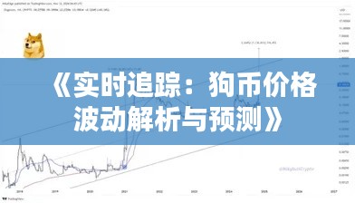 《实时追踪：狗币价格波动解析与预测》